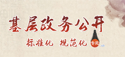 基层政务公开专题