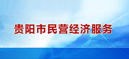 贵阳市民营经济服务