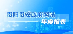 贵阳贵安网站年度报表
